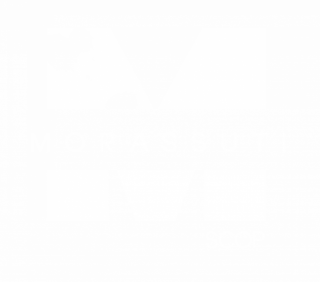 logo morassuti